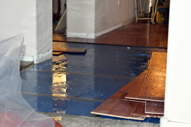 Professional Flood Damage Restoration technician working in Huntington Park, CA